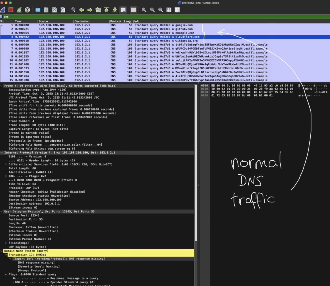Normal DNS traffic view