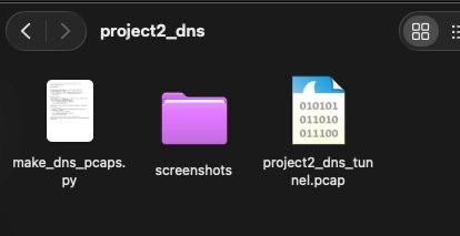 Wireshark DNS capture